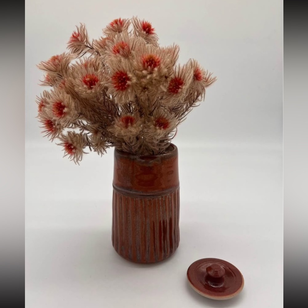 Red brown Ceramic Vessel / Vase with Lid and Dried Flowers